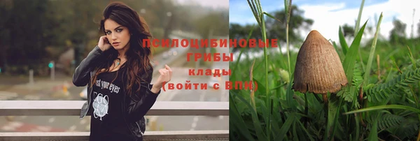 бошки Армянск