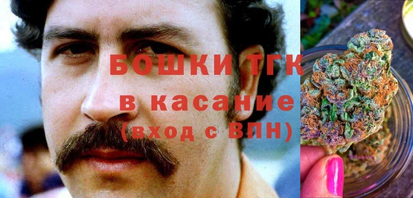 гидра Аркадак