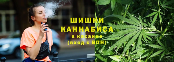 прущий лед Арсеньев